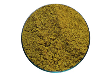 cassia tora seed meal