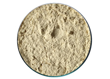 sesbania gum powder